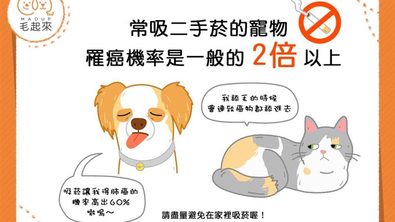 家裡有寵物又愛抽菸？小心牠被你害慘