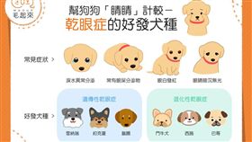 名家專用／毛起來MAOUP（勿用）