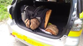 南投逮獲山老鼠以計程車載運盜伐林木南投林管處23日會同警方在武界林道查獲山老鼠利用計程車載運遭盜林木，逮捕1名司機及2名移工，並起出台灣扁柏樹瘤及角材等。（南投林管處提供）中央社記者蕭博陽南投縣傳真　108年9月24日