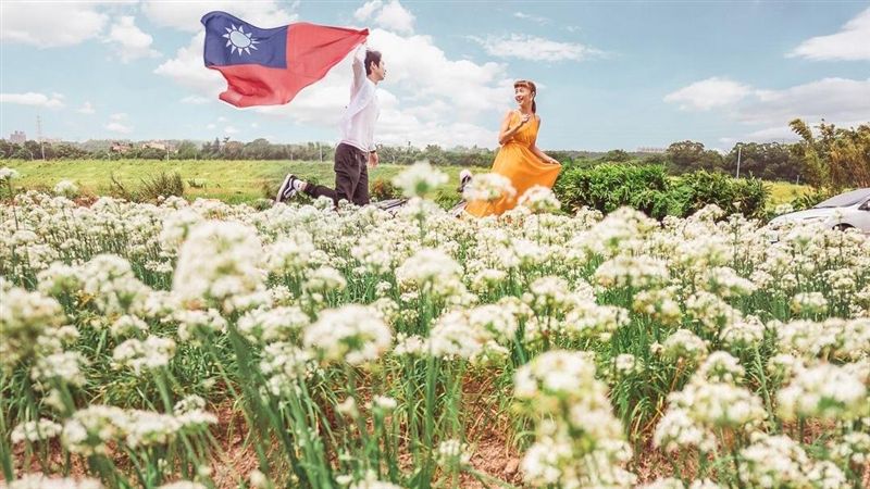 絕美九月雪！韭菜花田超強拍法曝光
