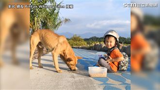路上遇受傷浪浪　3歲童暖坐地餵食