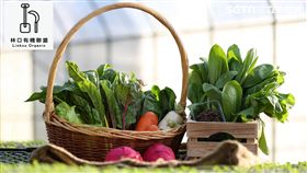 小農,好時好物,新北市農業局,板橋大遠百,威尼斯廣場