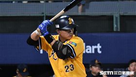 中信兄弟彭政閔。（資料照／記者王怡翔攝影）