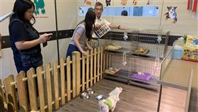 基隆市,寵物店,評鑑,動物保護防疫所,進步(圖/基隆市動物保護防疫所提供)中央社