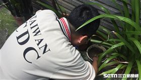 疾管署防疫人員前往新北市中和區景平里本土屈公病個案住家周邊查核孳生源。（圖／疾管署提供）