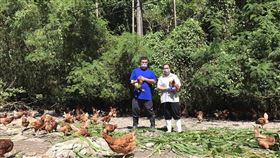 花蓮縣,陳宥成夫婦,繼承,養雞家業,小農理想(圖/中央社)