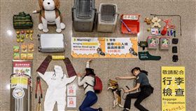 護國神犬,檢疫犬,機場,檢疫（圖／翻攝自動植物防疫檢疫局-防疫小尖兵臉書）