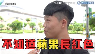 公主病不敢坐機車　他：醜才有公主病