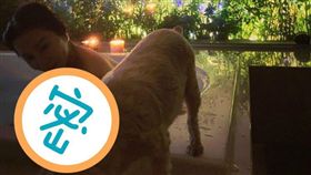  陳美鳳。（翻攝自IG）