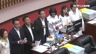 高雄青7人質詢15分　批韓製造對立