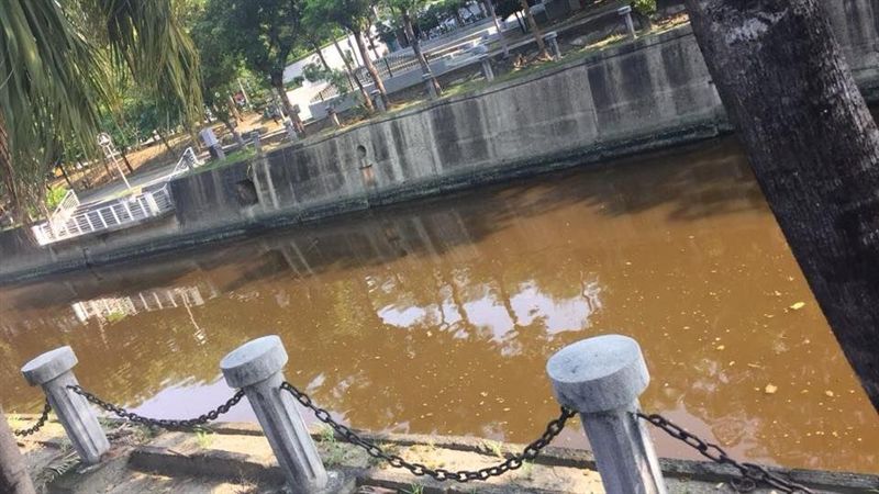 百變愛河啥顏色？今天慘淪「味增湯」