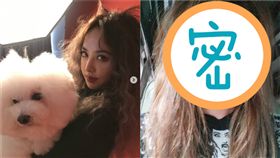 蔡依林（圖／翻攝自IG）