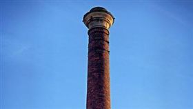 ▲陰莖（圖／翻攝自pixabay）