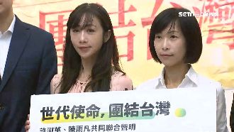 時力陳雨凡退選　喊「團結」挺許淑華