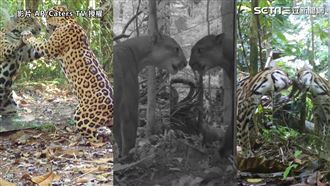 看到自己的反應？鏡頭帶你直擊亞馬遜