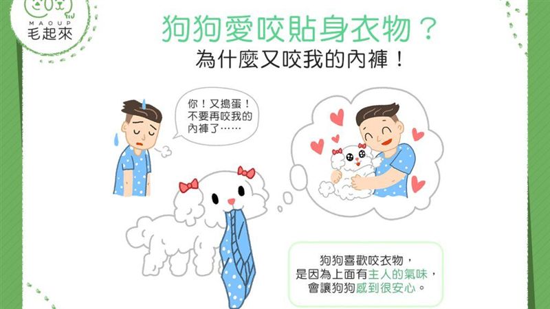狗狗又咬我的內褲！難不成是某種怪癖