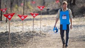 ▲英國王子哈利（圖）跟隨母親黛安娜的腳步，來到這個她過世前不久曾經訪問的地雷區，促進掃雷工作。（圖／翻攝自facebook.com/TheBritishMonarchy）