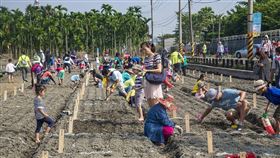 我吃的紅豆我自己種（1）農糧署南區分署與屏東縣政府28日舉辦「產銷履歷紅豆–我吃的紅豆我自己種」活動，吸引2000名大小朋友攜手來種豆，讓紅豆田內相當熱鬧。（農糧署提供）中央社記者郭芷瑄傳真　108年9月28日