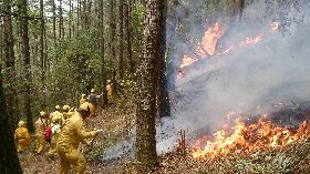 森林內未經許可不得引火　違者最高可罰