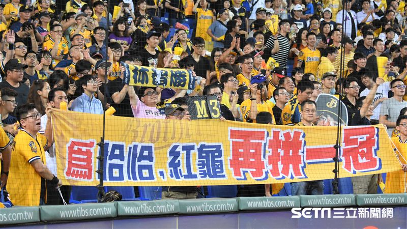 中職／認養洲際後　兄弟今年勝率最高
