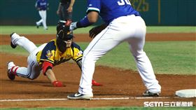 中信兄弟張志豪。（圖／記者林聖凱攝影）