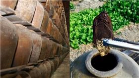 老菜脯,發酵,醃漬,黑金,倉庫　圖／翻攝爆料公社