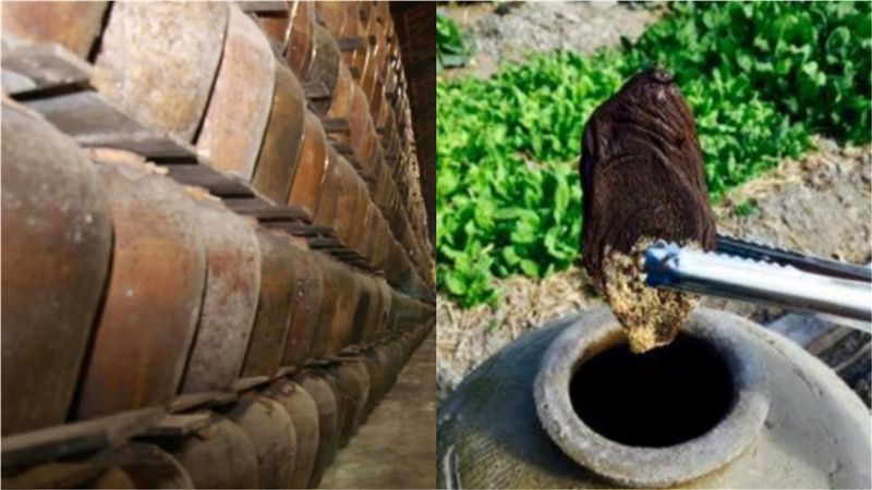 老家藏百甕「發酵黑塊」！網驚：發了