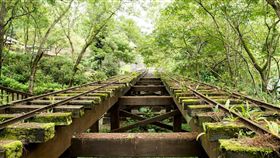 花蓮林田山舊軌道　林務局擬打造文化廊道花蓮林田山林業文化園區是台灣現存最完整、具特色的伐木基地，林務局計畫爭取新台幣10億元經費，打造「林業文化廊道」，修復重點包括舊鐵道及宿舍整修。（蕭美琴辦公室提供）中央社記者張祈傳真　108年8月31日