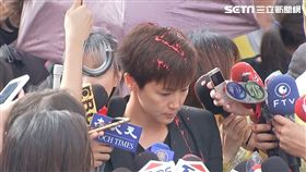 何韻詩，台港大遊行遭潑漆