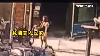 板橋驚見怪大媽　1天「搶抱」4童