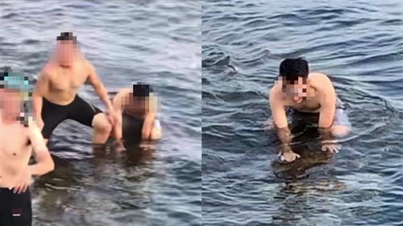 遊客疑「腳踩手壓海龜」　海巡找到人