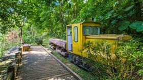 池南國家森林遊樂區（圖／翻攝自花東縱谷國家風景區）