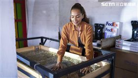 BBC,BBC世界新聞頻道 ,BBC Global News,聯邦快遞,貿易,Made on Earth,日常用品
圖／聯邦快遞提供