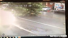 米塔,颱風,路樹,變電箱,花蓮