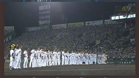 圖／翻攝自推特