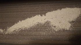 乾木白蟻,家具,糞便,（圖／翻攝自PTT）