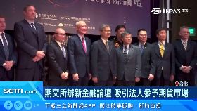 (業配)美股指避險20081218