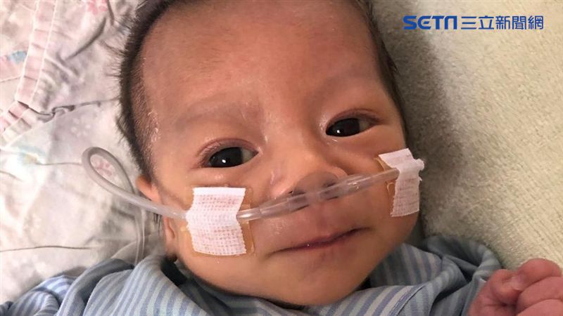 死亡率近百　馬偕醫護救回「心」生命