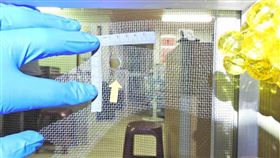 劉茂羣,服務處,開槍,議員,桃園