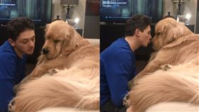 疑帥爸變心…黃金汪臭臉3天「不給親」　網融化：最美畫面（圖／翻攝自IG@lifeofsterlingnewton）