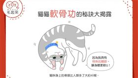 名家／毛起來（勿用）