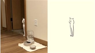 毛孩秒變爆笑塗鴉　5萬網友目睹笑翻