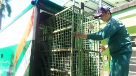 嘉義,學校午餐,運送風險大,郵局,避免斷缺(圖/嘉義縣大埔國中小提供)中央社