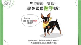 名家／毛起來（勿用）