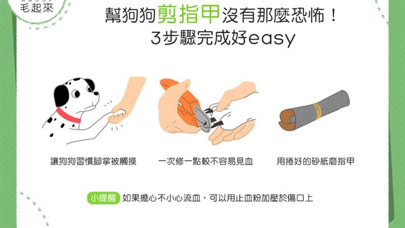 幫狗狗剪指甲沒那麼恐怖！3步驟完成