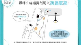 名家／毛起來（勿用）