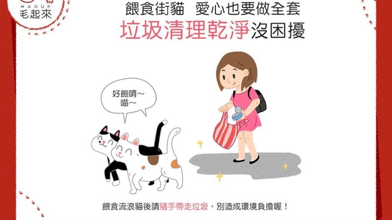 餵食街貓「乾淨餵食」是不變的守則！