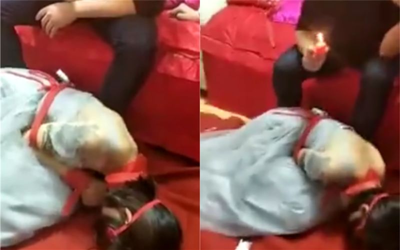 鬧婚新高度！連「低蠟油」都出現