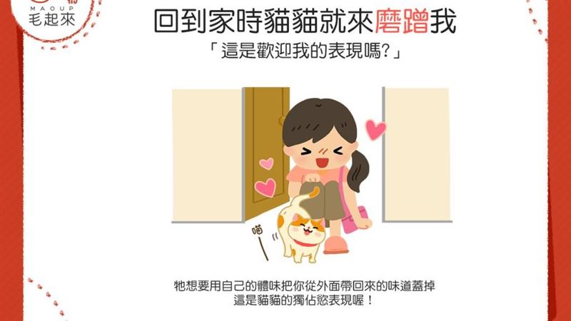 一回到家貓貓就來蹭　這是歡迎的表現