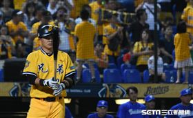 ▲中信兄弟彭政閔。（資料圖／記者王怡翔攝影）